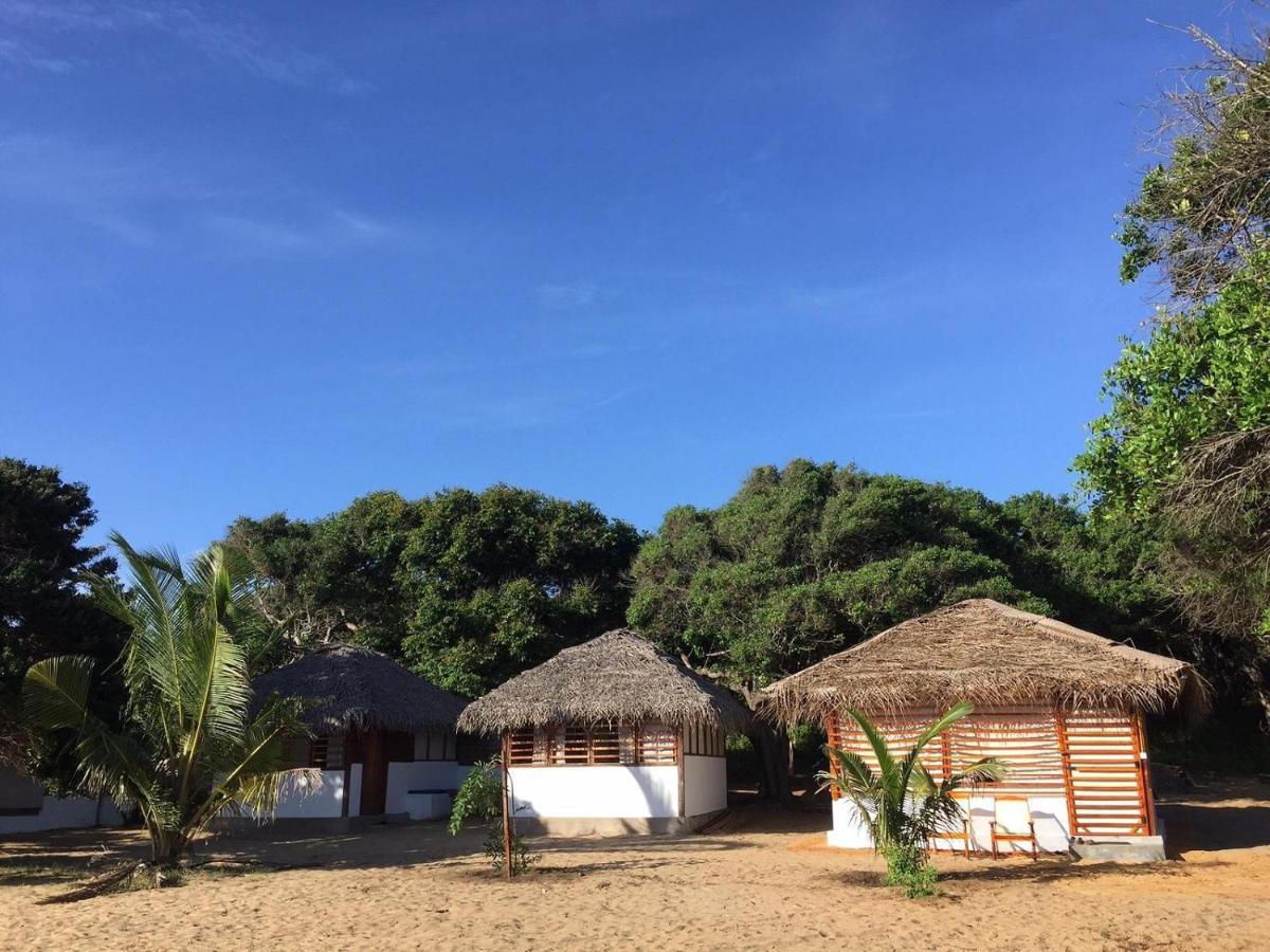 Upali Beach Surf Resort & Cafe Arugam Bay Dış mekan fotoğraf